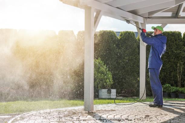 Animal Enclosure Cleaning in Olmos Park, TX
